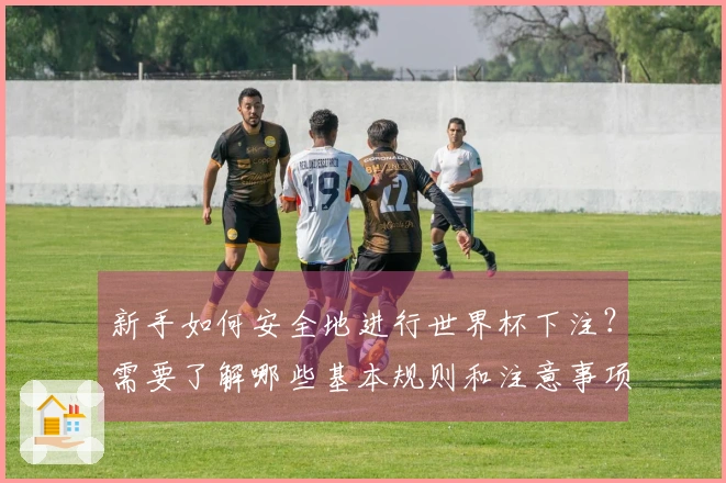 新手如何安全地进行世界杯下注？需要了解哪些基本规则和注意事项